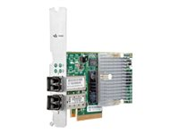 HPE - nätverksadapter - Gigabit Ethernet (iSCSI) x 2 H6Z10A