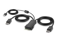 Belkin Modular Secure Dual Head - omkopplare för tangentbord/video/mus - 4 portar - TAA-kompatibel F1DN204MOD-PP-4