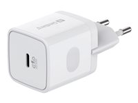 Sandberg strömadapter - 24 pin USB-C - 20 Watt 441-42