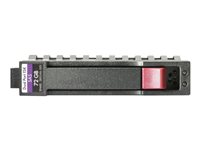 HPE Enterprise - hårddisk - 300 GB - SAS 12Gb/s 737390-B21