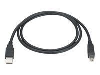 Black Box - USB-kabel - USB till USB typ B - 1.83 m USB05-0006