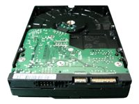 Dell - hårddisk - 80 GB - SATA 3Gb/s NR694