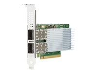 Intel E810-CQDA2 - nätverksadapter - PCIe 4.0 x16 - 100 Gigabit QSFP28 x 2 P21112-B21