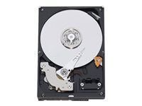 Dell - hårddisk - 250 GB - SATA 3Gb/s 341-5788