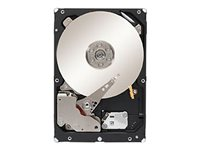 Seagate Constellation ES.3 ST3000NM0033 - hårddisk - 3 TB - SATA 6Gb/s ST3000NM0033