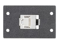 Extron Architectural Adapter Plate XTP DTP 24 Coupler - modulkontaktplatta med insnäppsfästen 70-1052-11