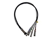 HPE Copper Cable - 100GBase direktkopplingskabel - 1 m Q9S72A