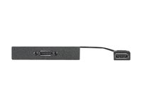 Extron Architectural Adapter Plate One DisplayPort Female to Female on 10" Pigtail - modulkontaktplatta med insnäppsfästen 70-677-13