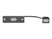 Extron Mini Architectural Adapter Plate One USB A Female to Female on 10" Pigtail - modulkontaktplatta med insnäppsfästen 70-455-13