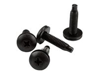 StarTech.com Server Rack Screws - 50 pack - 10-32 Screws - Rack Mount Screws - Network Rack Screws - Rack Mount Hardware (CABSCRWS1032) - skruvar och muttrar för rack CABSCRWS1032