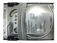 HP Quick-release Midline - hårddisk - 1 TB - SATA 6Gb/s 672722-001