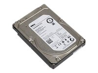 Dell - hårddisk - 2 TB - SATA T31KM