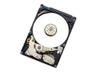 WD Endurastar J4K320 HEJ423225H9E300 - hårddisk - 250 GB - SATA 1.5Gb/s 0A60316