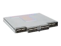 Intel Omni-Path Edge Switch 100 Series - switch - 48 portar - Administrerad - rackmonterbar 100SWE48UF1