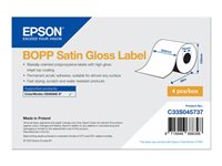 Epson - löpande etiketter - blank satin - 4 rulle (rullar) - Rulle (20,3 cm x 68 m) C33S045737