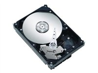 Seagate Barracuda 7200.9 - hårddisk - 80 GB - ATA-100 SGT:ST3802110A