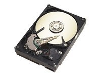 Seagate Barracuda 7200.7 - hårddisk - 80 GB - SATA 1.5Gb/s SGT:ST380013AS-N