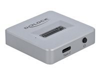 Delock M.2 Docking Station - gränssnittsadapter - M.2 NVMe Card - USB 3.2 (Gen 2) 64000