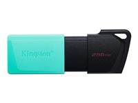 Kingston DataTraveler Exodia M - USB flash-enhet - 256 GB DTXM/256GB