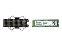 HP Z Turbo Drive - SSD - 256 GB 5RR61AA