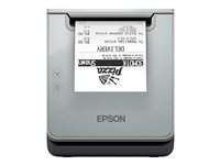 Epson TM L100 (121) - kvittoskrivare - svartvit - termisk linje C31CJ52121