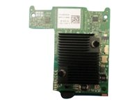 Mellanox ConnectX-3 FDR10 Mezz Card - nätverksadapter 543-BBCV