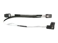 Dell sats med intern SAS-kabel C069M