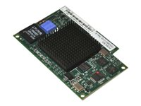 Emulex 8Gb Fibre Channel Expansion Card (CIOv) for IBM BladeCenter - värdbussadapter - 8Gb Fibre Channel 46M6140