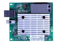 Lenovo ThinkSystem QLogic QML2692 Mezz - värdbussadapter - ML2 - 16Gb Fibre Channel x 2 7ZT7A00520