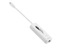 Edimax EU-4307 - nätverksadapter - USB-C 3.1 - 2.5GBase-T x 1 EU-4307