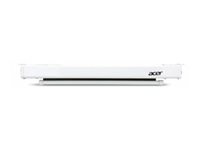 Acer E100-W01MW - projektorduk - 100" (254 cm) MC.JBG11.009