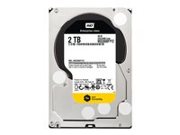 WD RE WD2000FYYZ - hårddisk - 2 TB - SATA 6Gb/s WD2000FYYZ