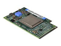 QLogic 4Gb Fibre Channel Expansion Card (CIOv) for BladeCenter - värdbussadapter - PCIe 2.0 46M6066