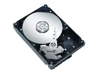 Seagate Barracuda 7200.9 - hårddisk - 250 GB - SATA 3Gb/s SGT:ST3250824AS