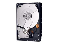 WD RE3 WD7502ABYS - hårddisk - 750 GB - SATA 3Gb/s WDC:WD7502ABYS