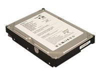 Seagate Barracuda - hårddisk - 500 GB - SATA 3Gb/s SGT:ST3500418AS