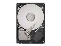 Seagate Barracuda 7200.12 - hårddisk - 320 GB - SATA 6Gb/s SGT:ST3320413AS