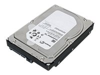 WD WD4000FYYZ - hårddisk - 4 TB - SATA 6Gb/s WDC:WD4000FYYZ