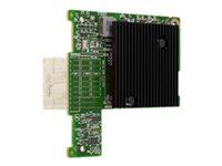 Emulex LightPulse LPM-16002 - värdbussadapter - PCIe 3.0 - 16Gb Fibre Channel x 1 406-10740