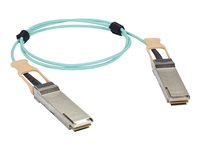 Black Box QSFP-100G-AOCXM-BB Series 100GBase-AOC direktanslutningskabel - 15 m - havsblå QSFP-100G-AOC15M-BB