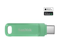 SanDisk Ultra Dual Drive Luxe - USB flash-enhet - 256 GB SDDDC3-256G-G46AG