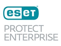 ESET PROTECT Enterprise - abonnemangslicens (1 månad) - 1 enhet 2019D1B500M